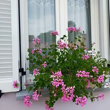 Il Principe Rosso Pensjonat 4*