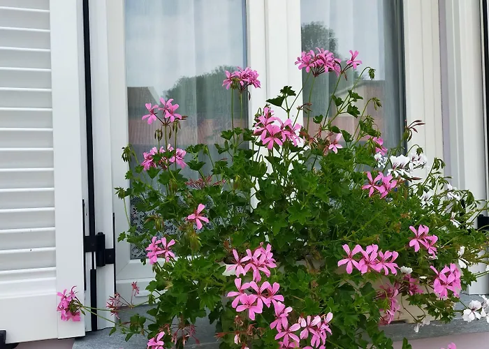 Il Principe Rosso Penzion 4*